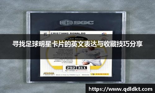 星空·综合体育官网