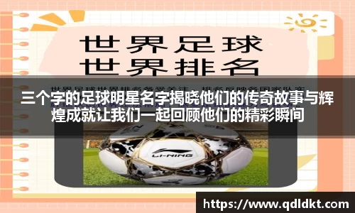 星空·综合体育官网