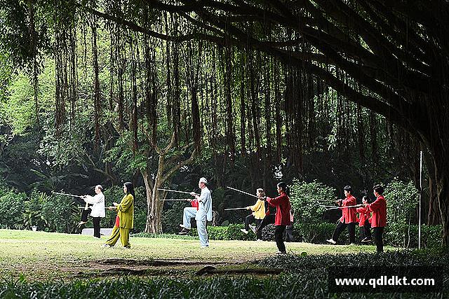 知道星空·综合体育